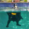 imageSwimways DC Batman Swim Huggable Batman Bath ampamp Beach Toys Floating Water Stuffed Animal for Kids Aged 1 ampamp UpBatman Floating Figure